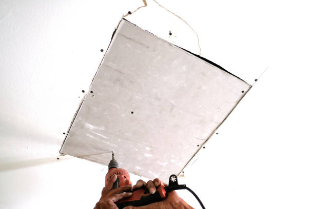 The  Duty of  Specialist  Examination in Drywall Design in Colorado